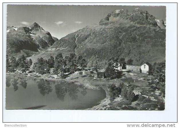Suisse.Hahnensee,Saint Moritz
