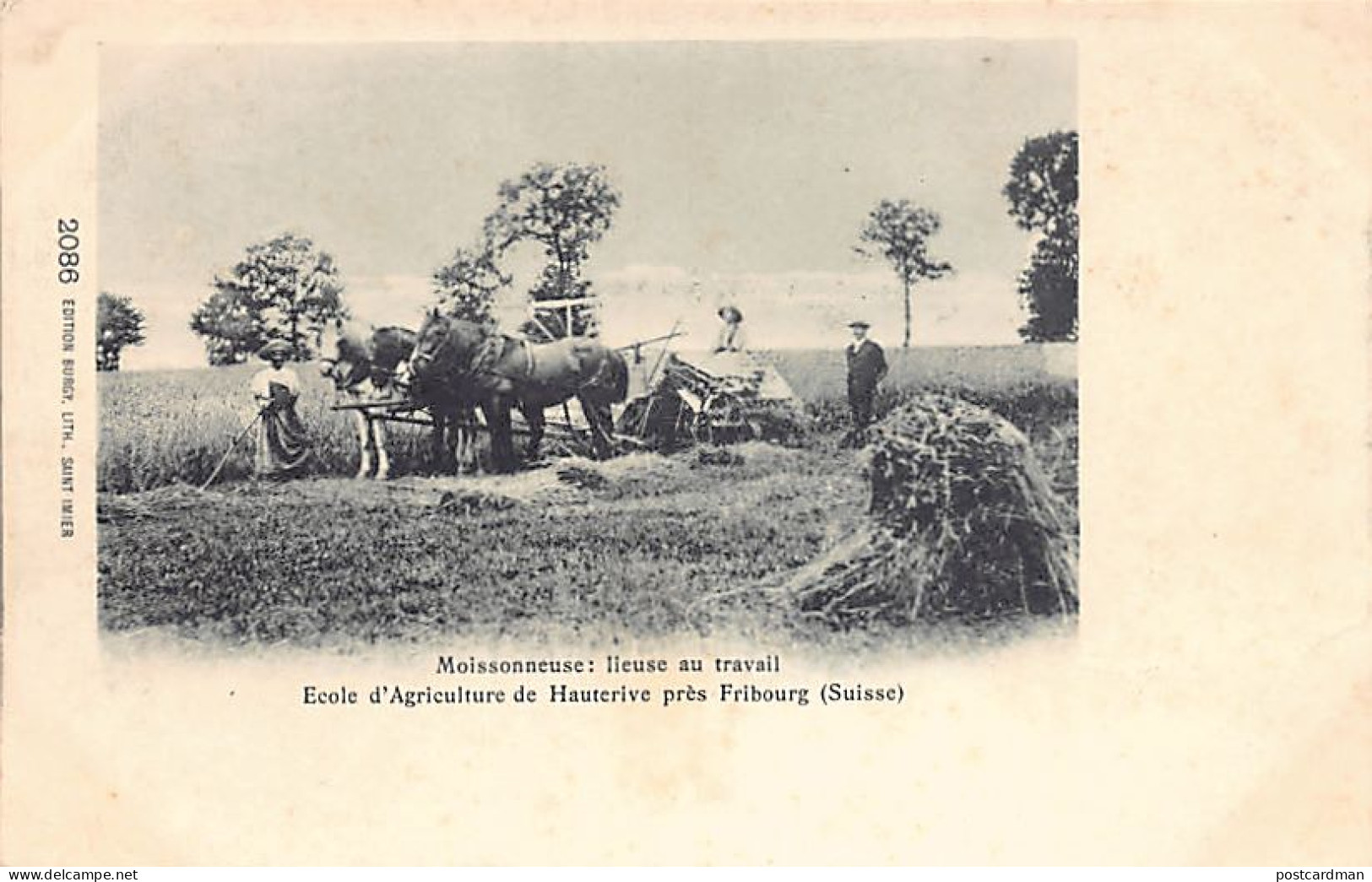 Suisse - HAUTERIVE (FR) Ecole d'agriculture - Moissonneuse lieuse au travail - Ed. Burgy Lith. Saint-Imier 2096