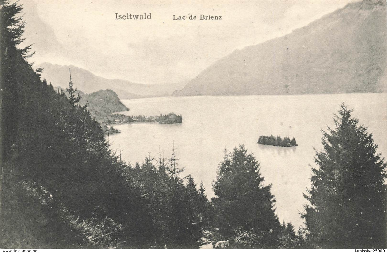 SUISSE iselwald lac de brienz