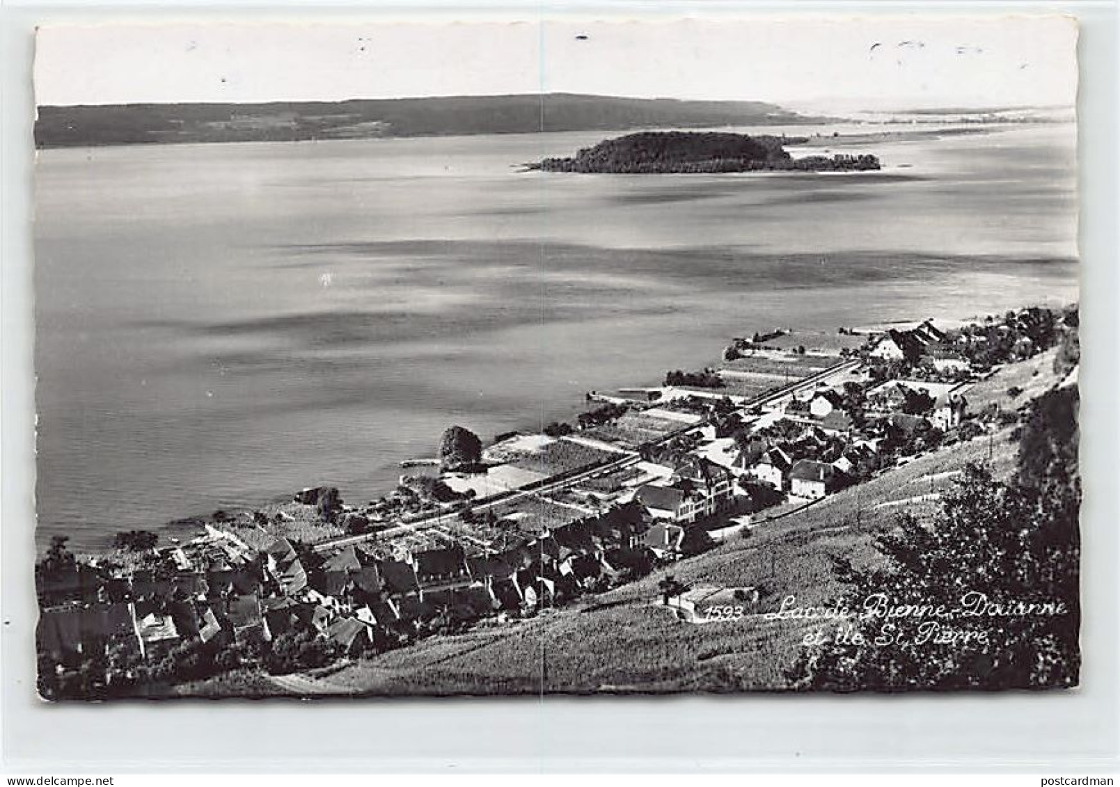 Suisse - Lac de Bienne (BE) Douanne - Ile St Pierre - Ed. Metzger 1593