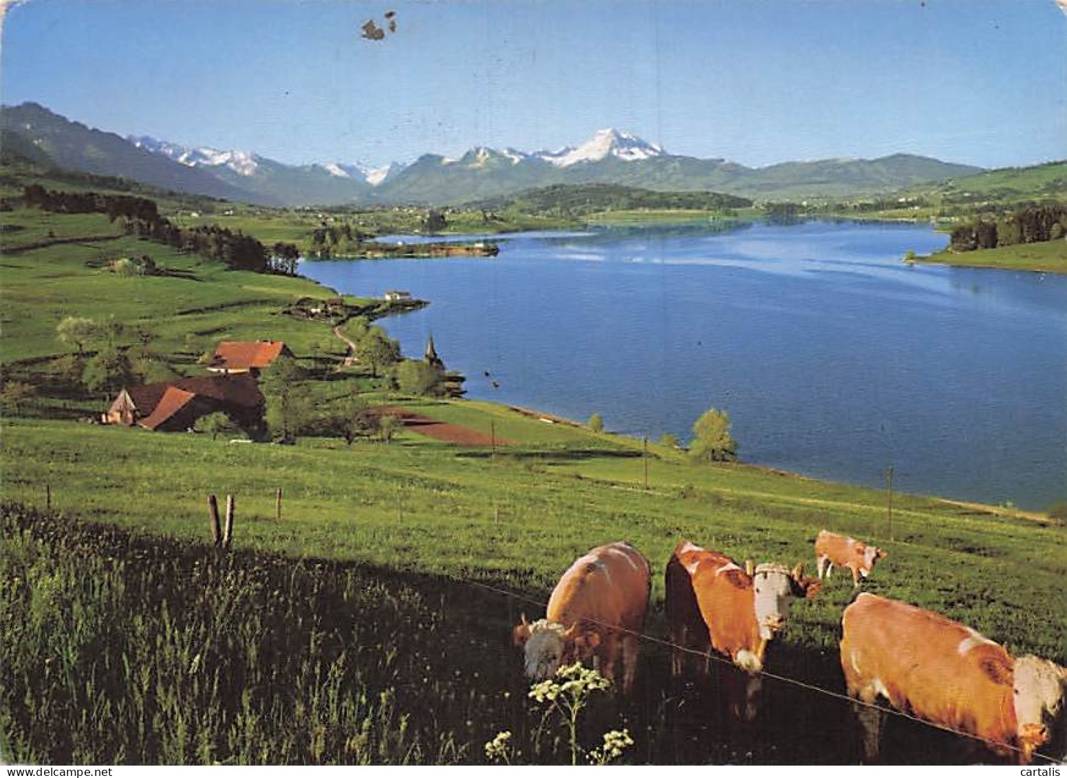 SUISSE-LAC DE LA GRUYERE-LAC DE LA GRUYERE ET LE MOLESON-N°7076-D/0081