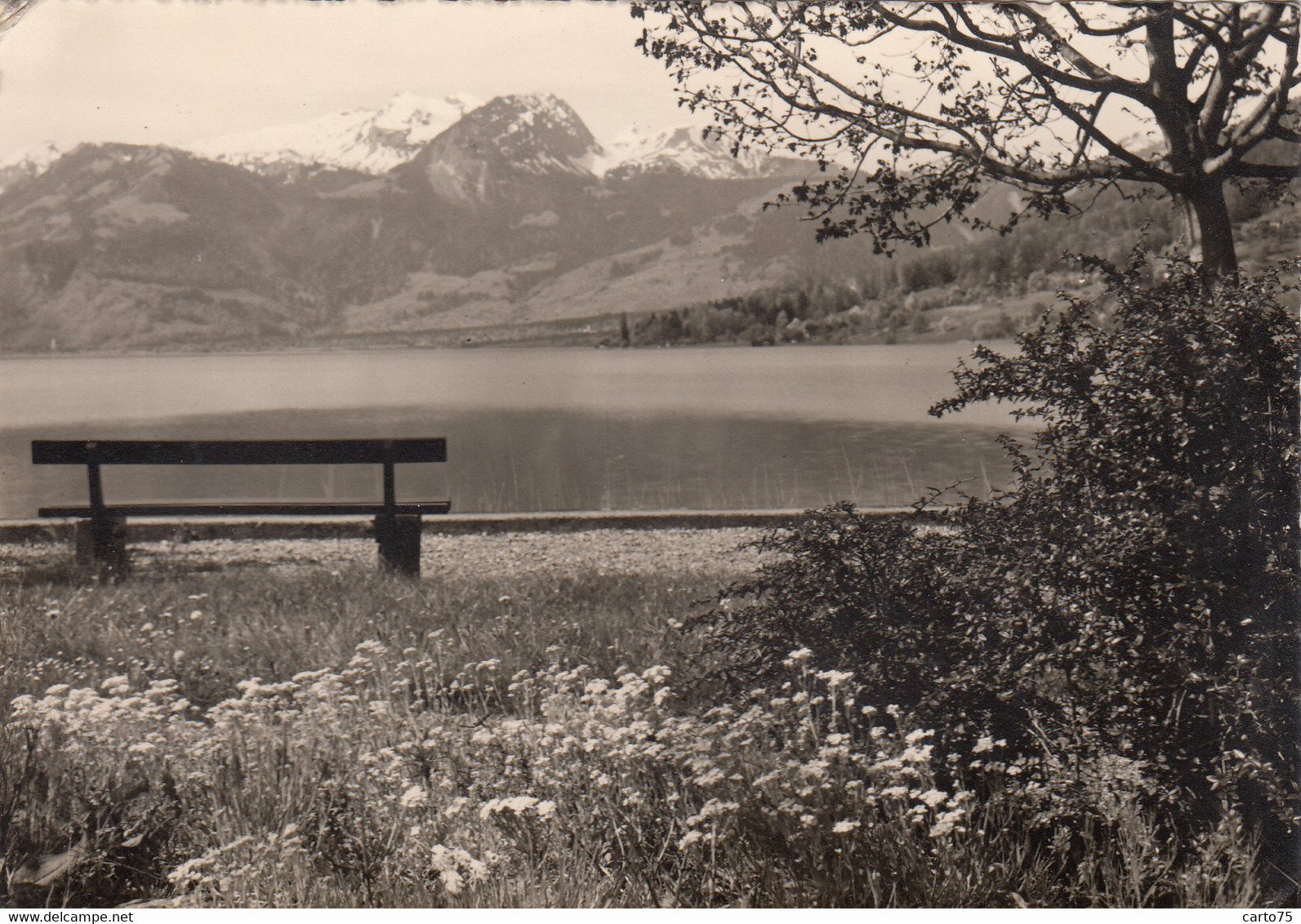 Suisse - Lac de Sarnen - Am Sarnersee - 1957