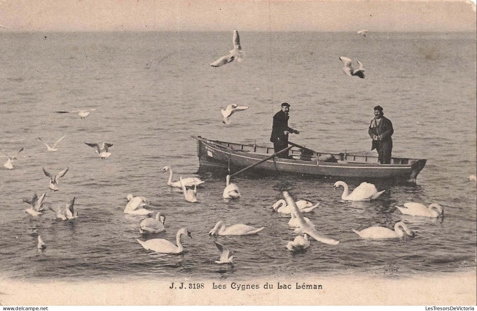 SUISSE - Lac Léman - Cygnes - Barque - Deux hommes - Oblit 1910 - CPA
