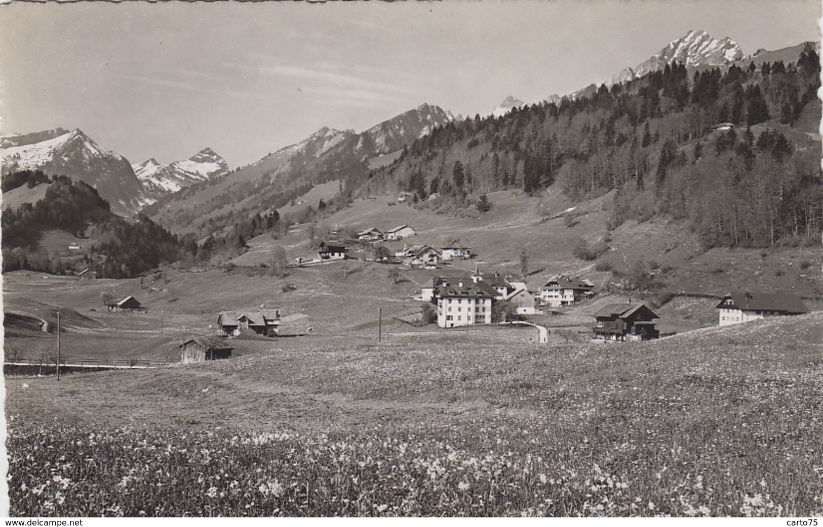 Suisse - Les Sciernes d'Albeuve - Haute Gruyère - Haut-Intyamon