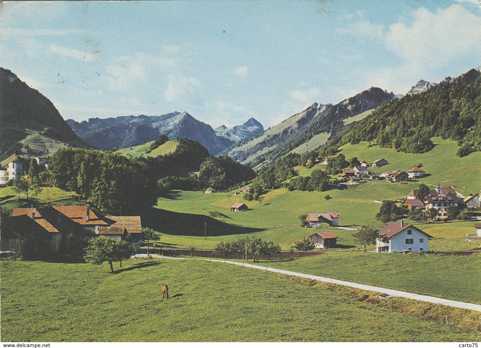 Suisse - Les Sciernes-d'Albeuve - Panorama - Edition Glasson - 1971