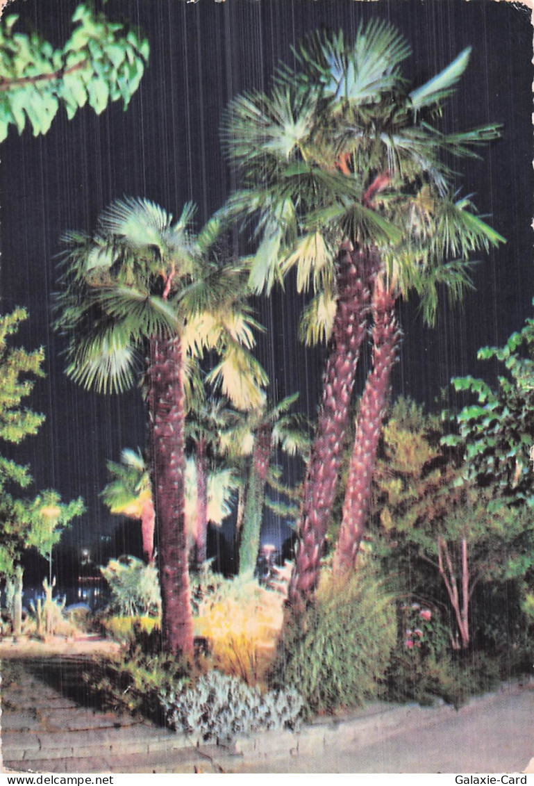 SUISSE LOCARNO LAC MAJEUR