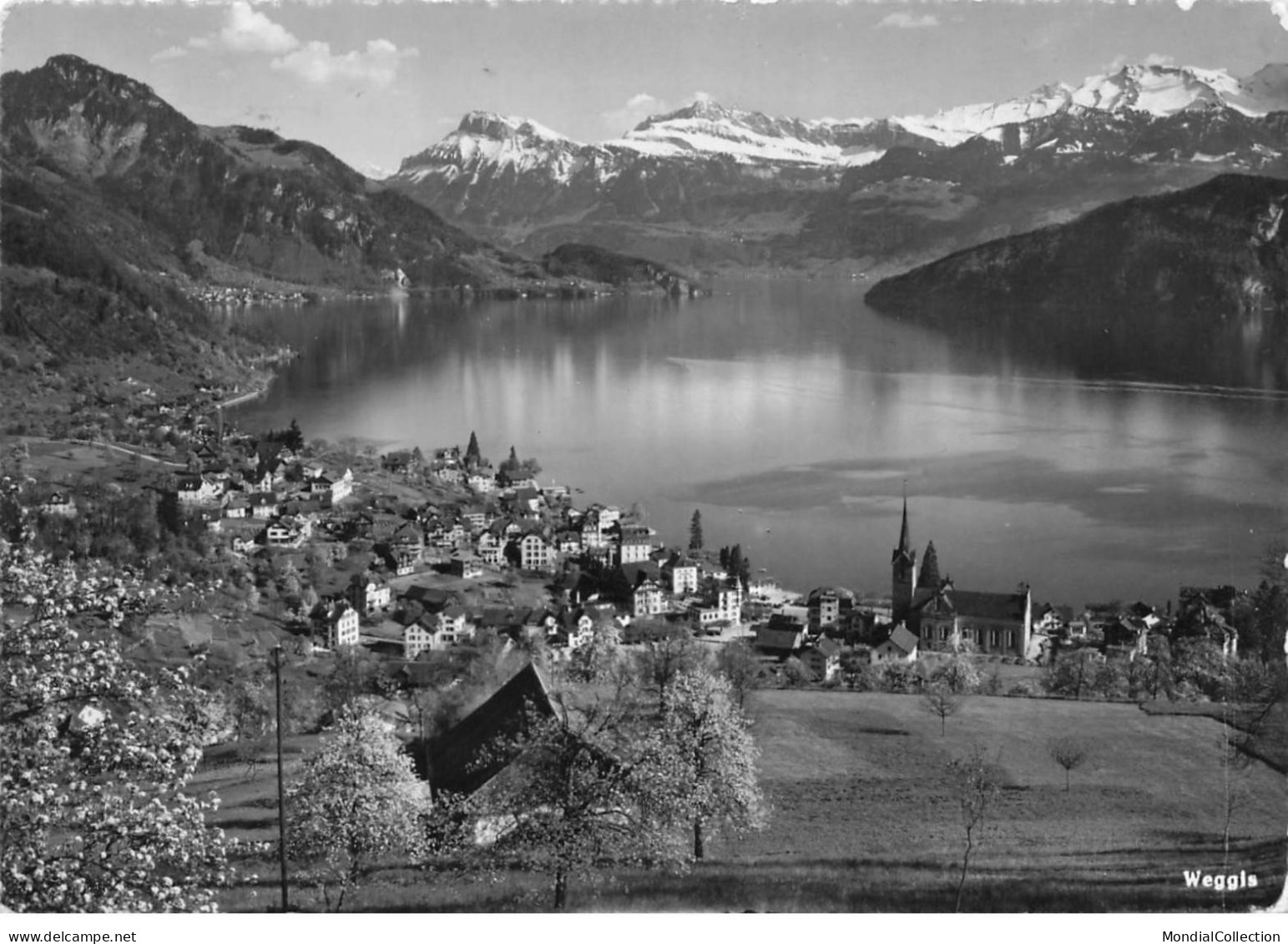 SUISSE LU LUCERNE #28935 WEGGIS VUE GENERALE