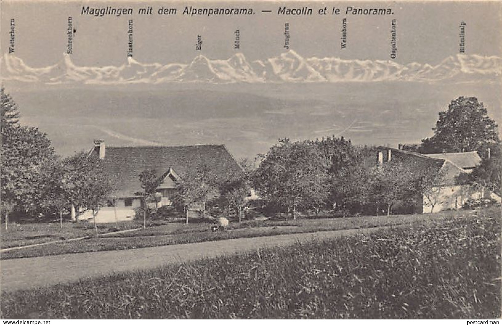 Suisse - MACOLIN Evilard (BE) Panorama - Ed. F. Gränicher