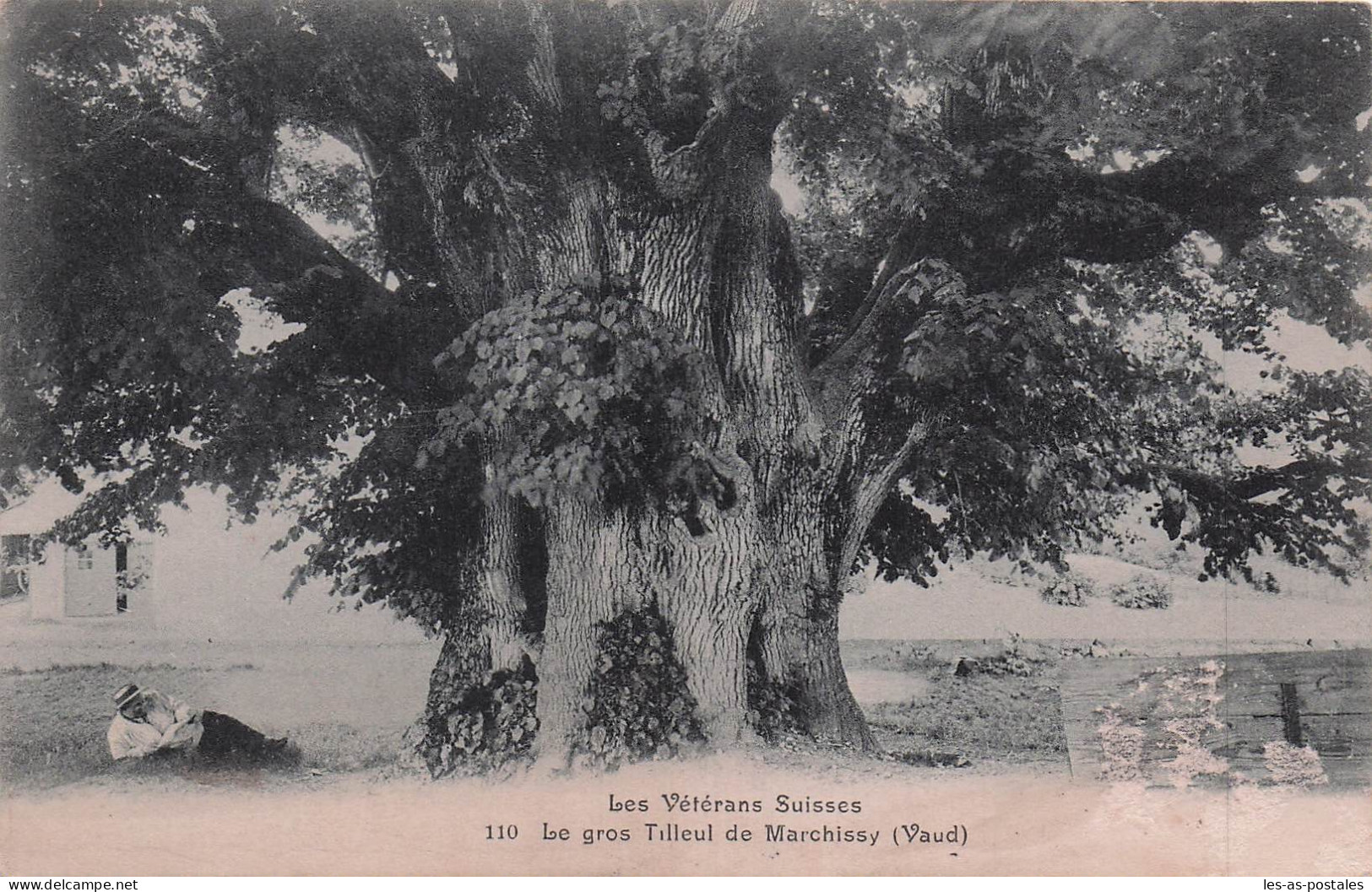 SUISSE MARCHISSY LE GROS TILLEUL