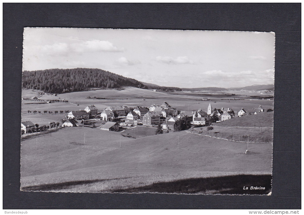 Suisse NE - La Brevine ( vue generale Photo Edition Deriaz )