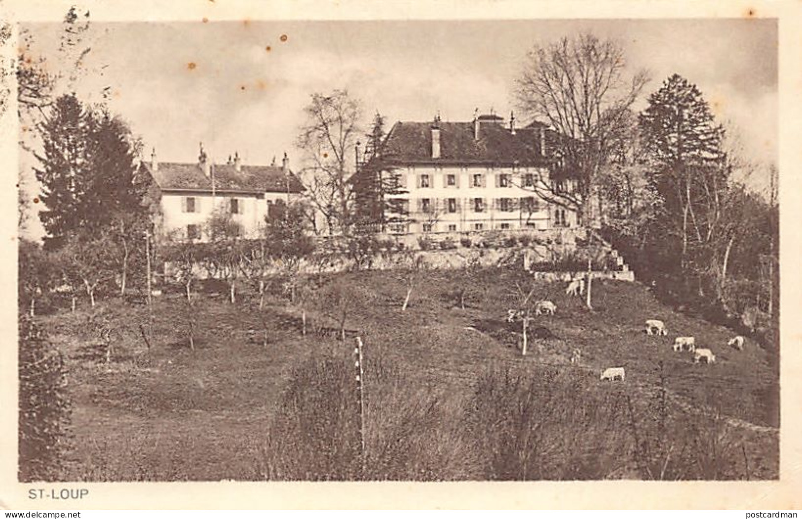 Suisse - POMPAPLES (VD) Saint-Loup - Diaconnesses - Vaches - Ed. Sadag