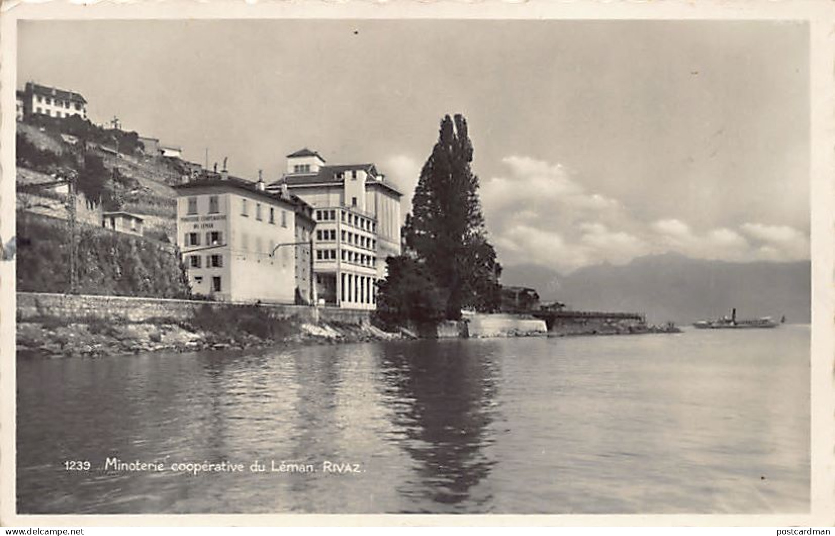 Suisse - RIVAZ (VD) Minoterie coopérative du Léman - Ed. Perrochet 1239