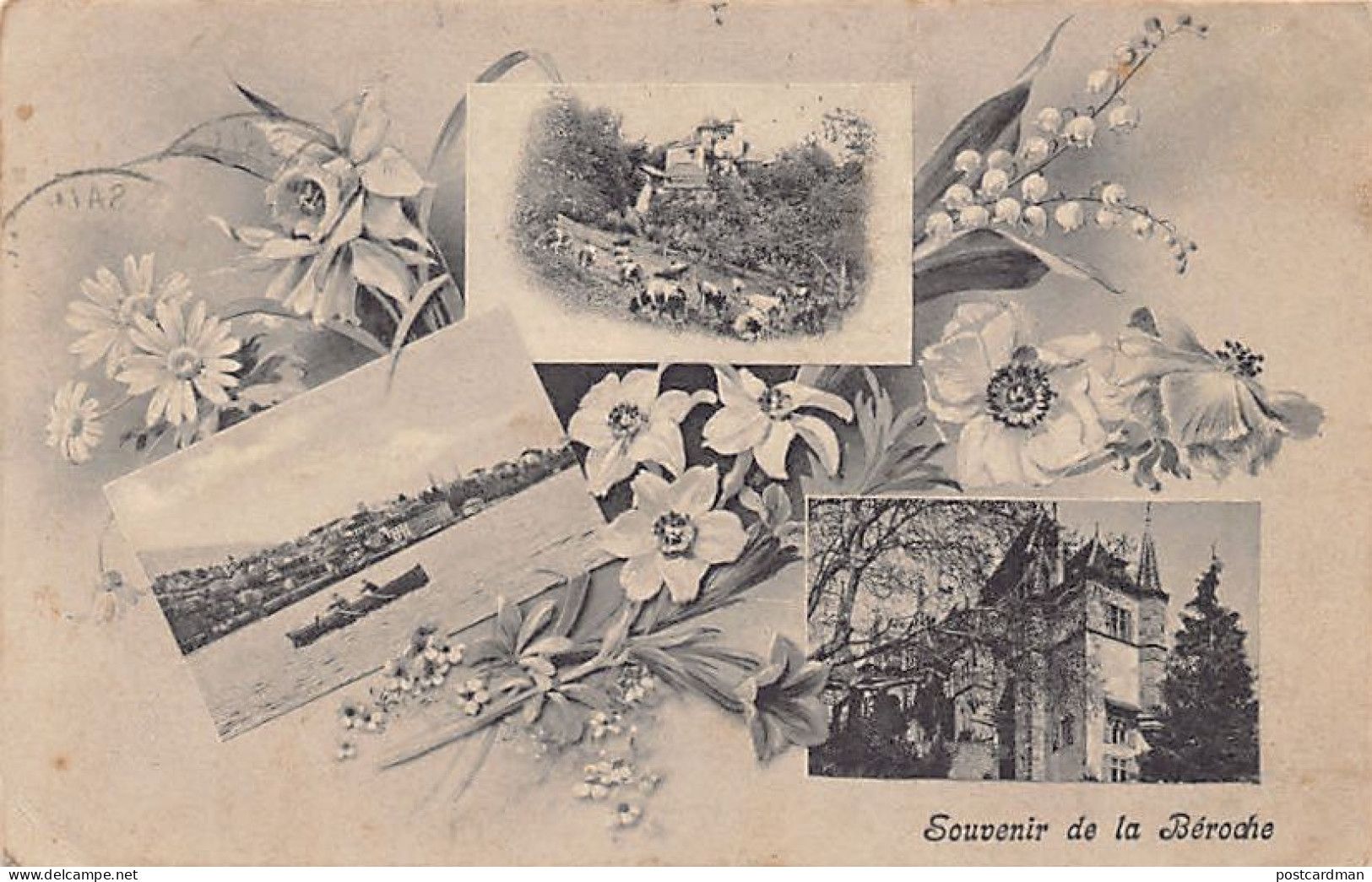 Suisse - SAINT AUBIN SAUGES (NE) Souvenir de la Béroche - ed. T. Jacot 37