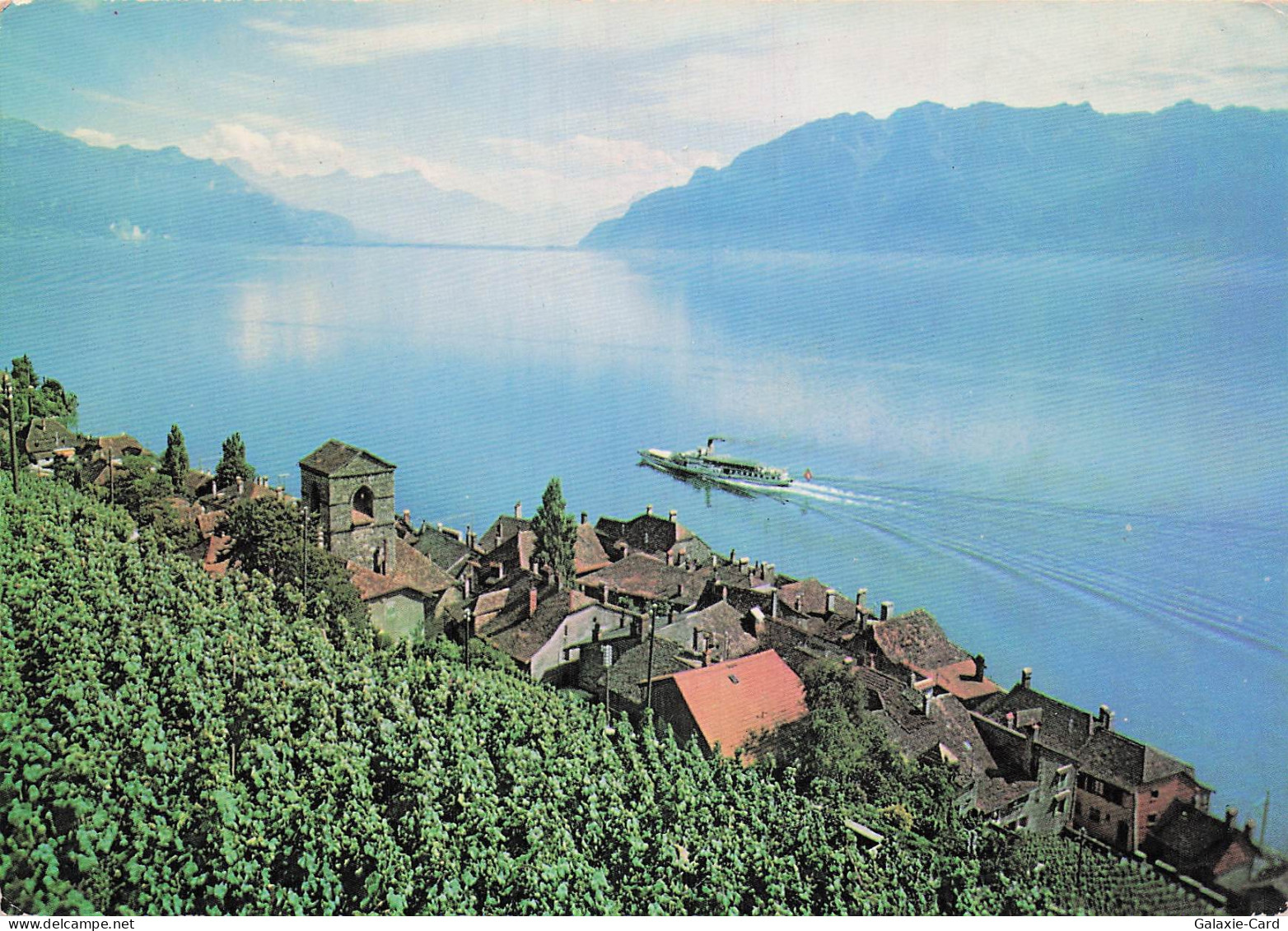 SUISSE SAINT SAPHORIN VIGNOBLE DE LAVAUX