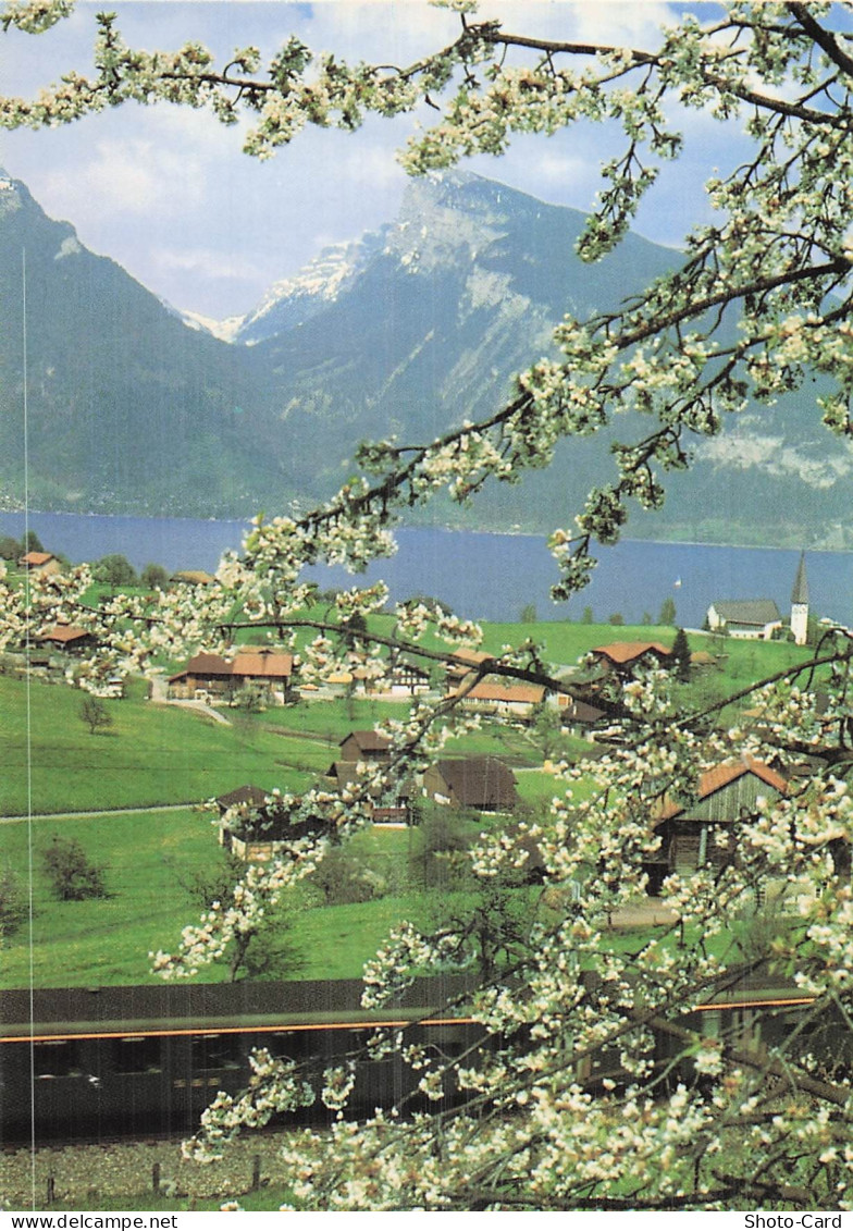 SUISSE SPIEZ LAC DE THOUNE