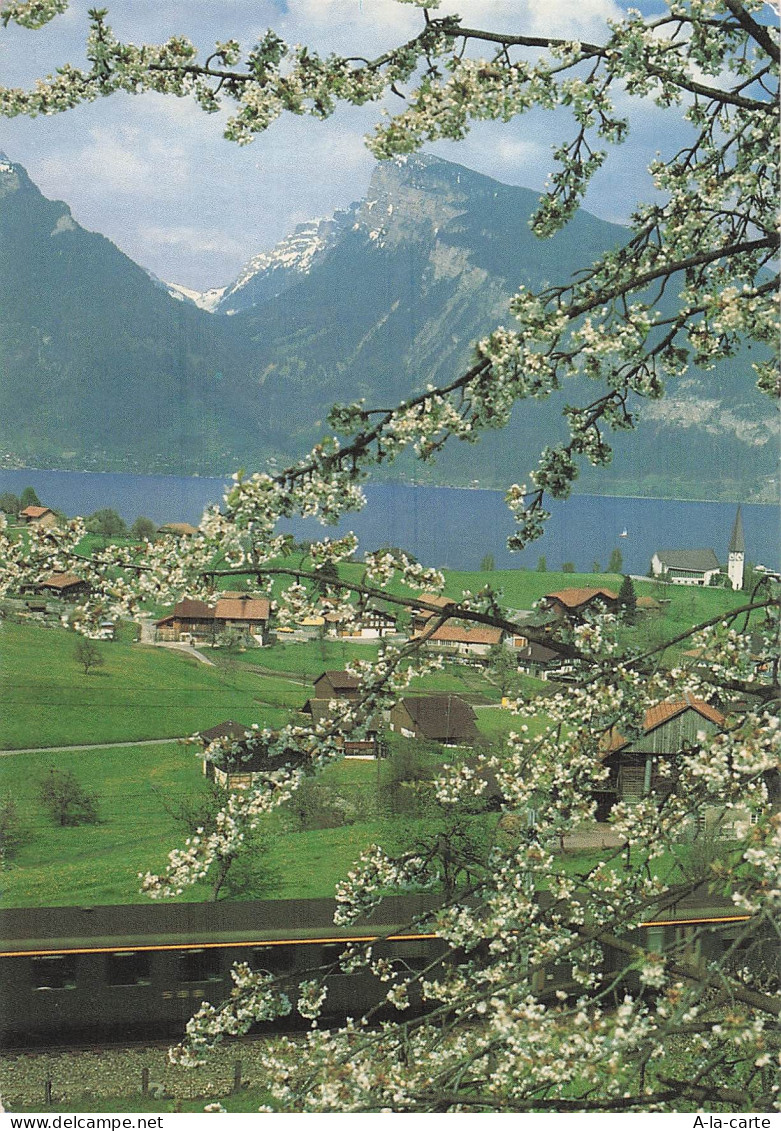 SUISSE SPIEZ LAC DE THOUNE