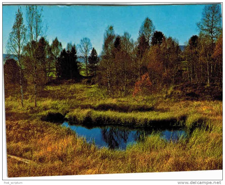 Suisse -Tourbière du Cachot - La Brévine