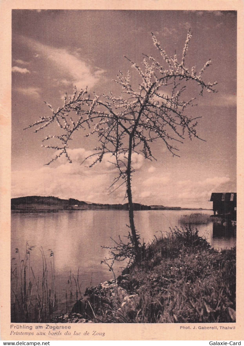SUISSE ZOUG LAC DE ZOUG