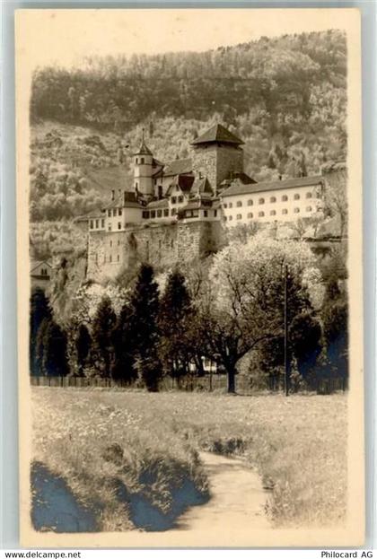 4663 Aarburg - Schloss - 10619842