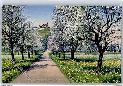 5603 Staufen - 1917, Staufberg, Seetal - 51279619