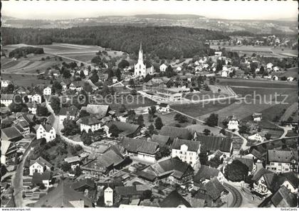 Buenzen Muri Fliegeraufnahme