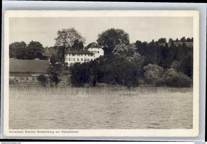 Hallwil Kuranstalt Schloss Brestenberg Hallwilersee