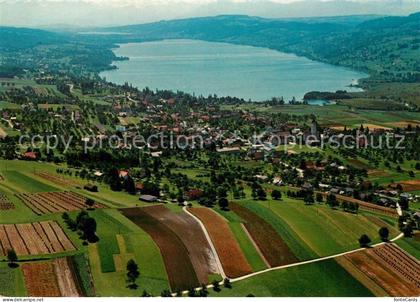 Hallwilersee Fliegeraufnahme