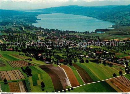 Hallwilersee Fliegeraufnahme