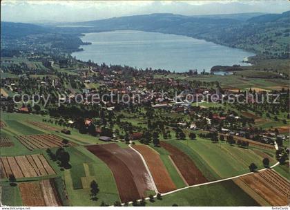 Hallwilersee Fliegeraufnahme