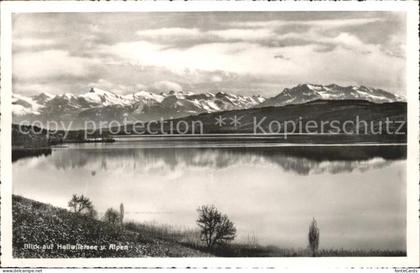 Hallwilersee mit Alpen