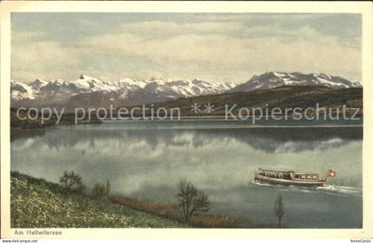 Hallwilersee Panorama Fahrgastschiff