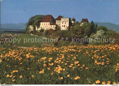 Lenzburg Schloss