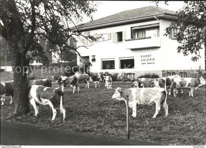 Meisterschwanden Kunstgalerie Mario Manazza Kuhherde