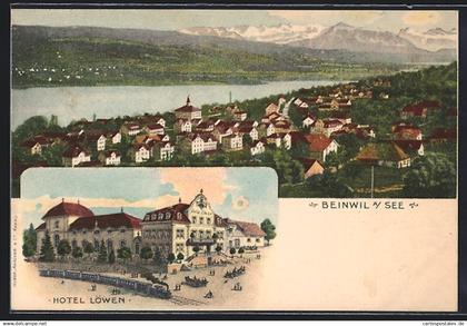 AK Beinwil am See, Gesamtansicht, Hotel Löwen