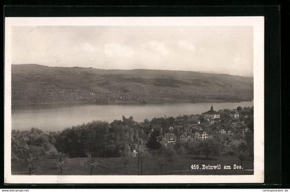 AK Beinwil am See, Ortsansicht mit Wasser