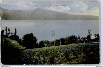 5616 Meisterschwanden - Hallwylersee - 51481475
