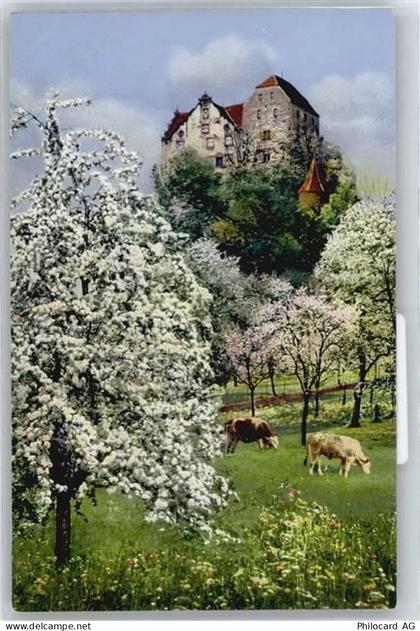 5103 Wildegg - Schloß - 50737217
