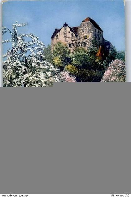 5103 Wildegg - Schloss Wildegg - 51481466