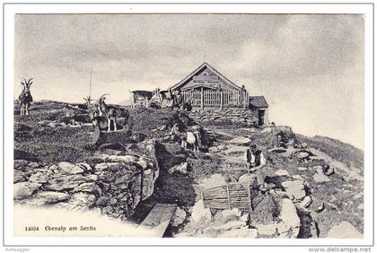 AK AI EBENALP am Säntis 21.8.1905 Appenzell Foto Wehrli