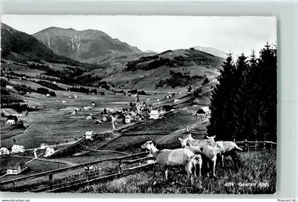 9108 Gonten - 10204028