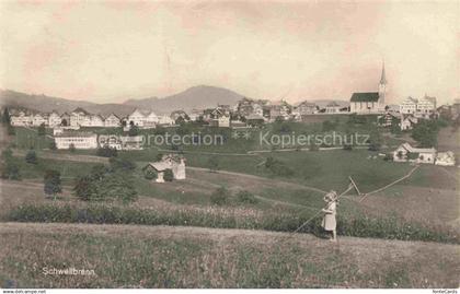 Schwellbrunn Appenzell AR Panorama
