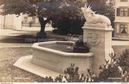 Walzenhausen Appenzell AR Dorfplatzbrunnen