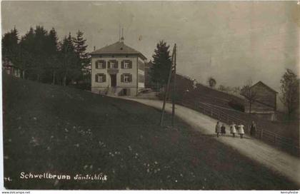 Schwellbrunn - Säntisblick