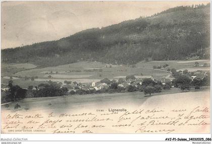 AVJP1-0044-SUISSE - LIGNEROLLE - Panorama