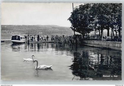 Beinwil am See Binnenschiff - 50576559