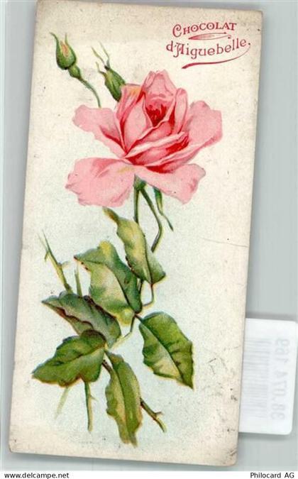 Rose Cocolat d`Aiguebelle Schokolade Werbe AK - 38074169
