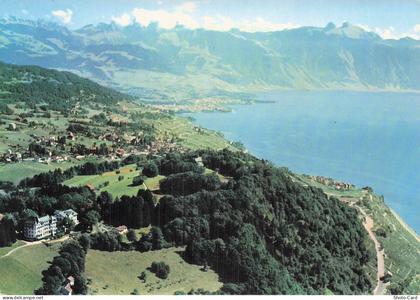 SUISSE CHESEREX HOTEL DU SIGNAL ET SON PARC