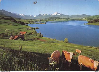 SUISSE-LAC DE LA GRUYERE-LAC DE LA GRUYERE ET LE MOLESON-N°7076-D/0081