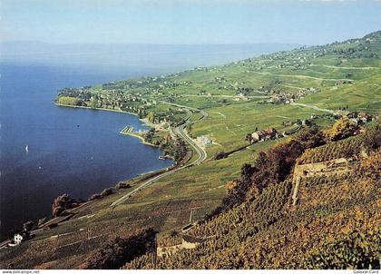 SUISSE RIEX VIGNOBLES DE LAVAUX LAC LEMAN