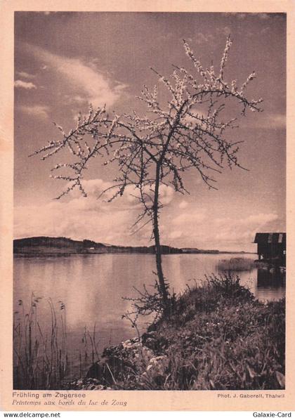 SUISSE ZOUG LAC DE ZOUG